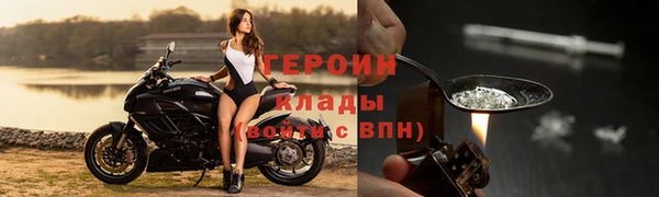 стаф Новокубанск