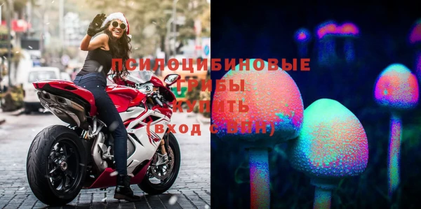 спиды Нефтегорск