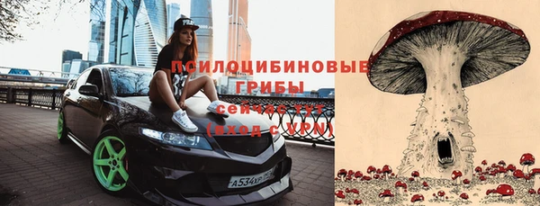 спиды Нефтегорск