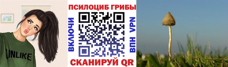 Псилоцибиновые грибы GOLDEN TEACHER  блэк спрут ТОР  Балахна 