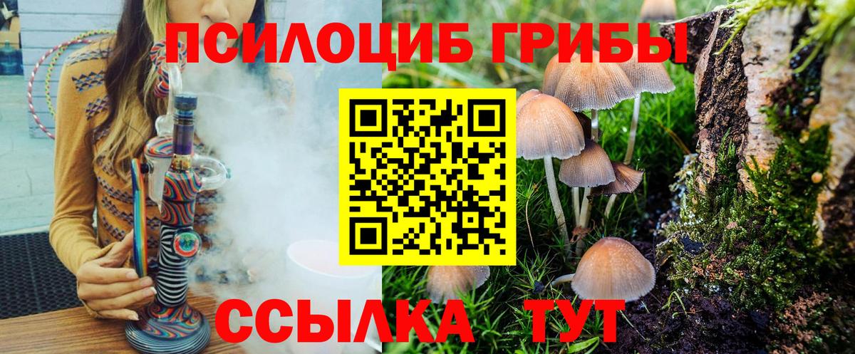 Балахна  цены   Вход с VPN  Псилоцибиновые грибы Psilocybine cubensis  Псилоцибиновые грибы мицелий 