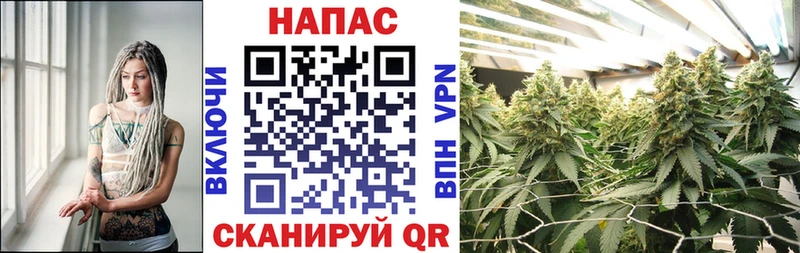 закладка  Балахна  Бошки Шишки семена 